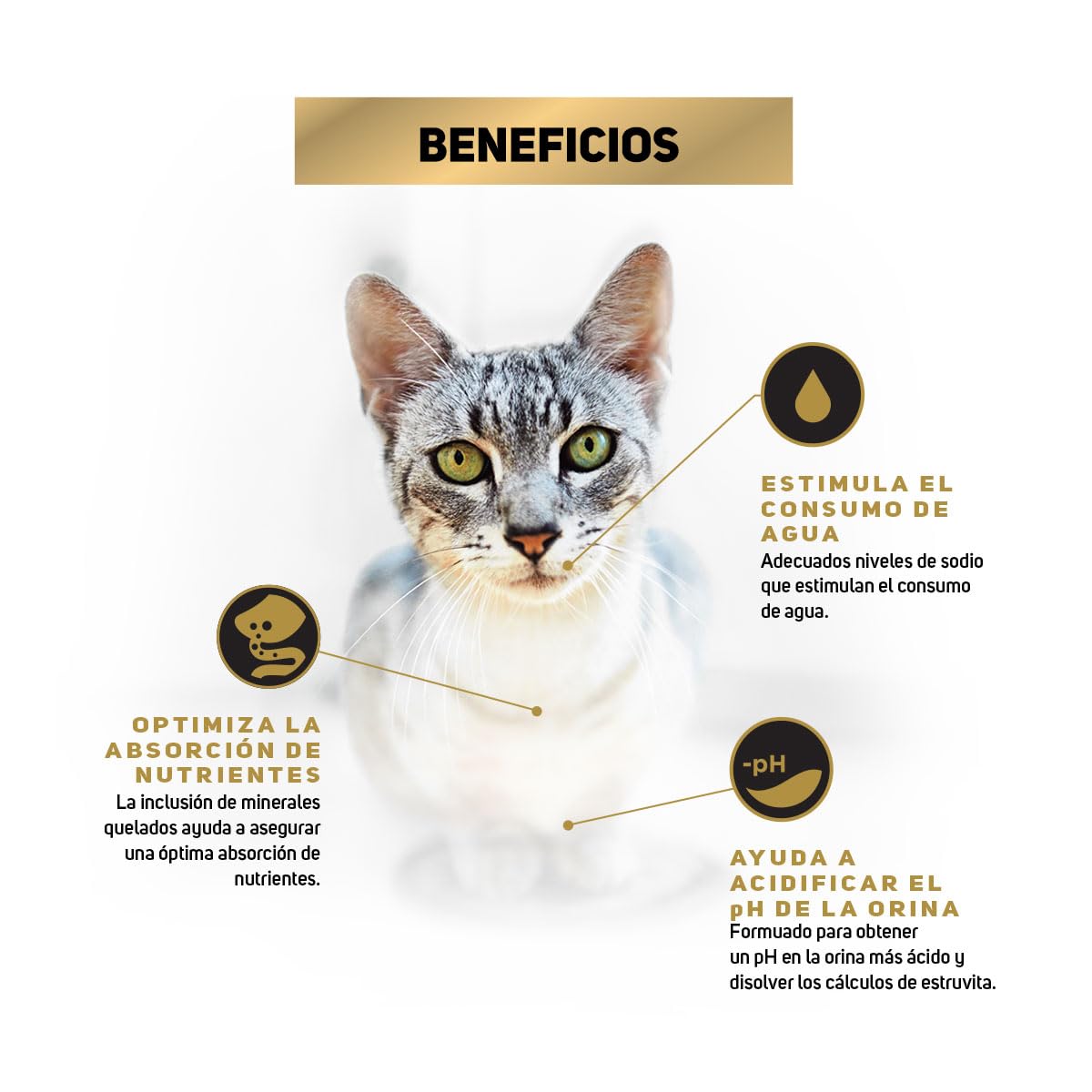 Purina Pro Plan Gato Adulto Urinary Todos los Tamaños Sabor Pollo 7.5Kg