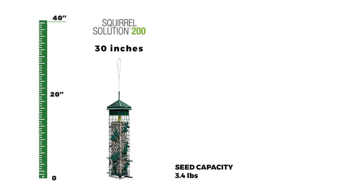 Squirrel Solution200 Comedero para pájaros silvestres de 5.5 x 5.5 x 30 pulgadas (con colgador) con 6 puertos de alimentación, capacidad de semillas de 3.4 lb, embudo de semillas gratis
