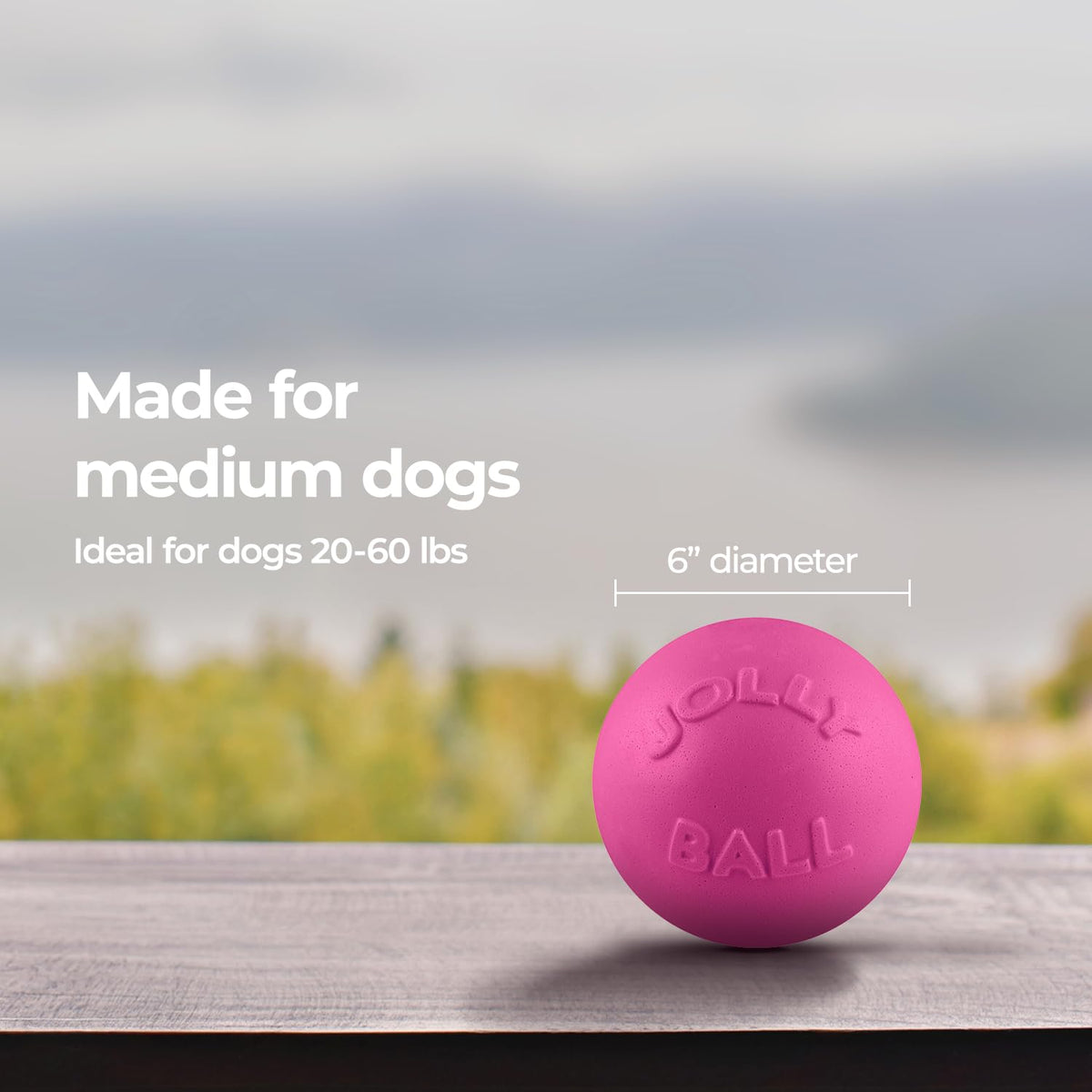 Jolly Pets Bounce-n-Play - Pelota de Juguete para Perro, 6 Pulgadas, Rosa, 6 Pulgadas/Mediano (2506 Unidades)