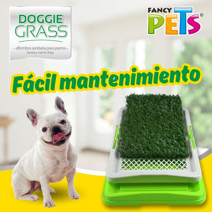 Fancy Pets Tapete Entrenador Doggie Grass para Perros Machos de Tamaño Mini