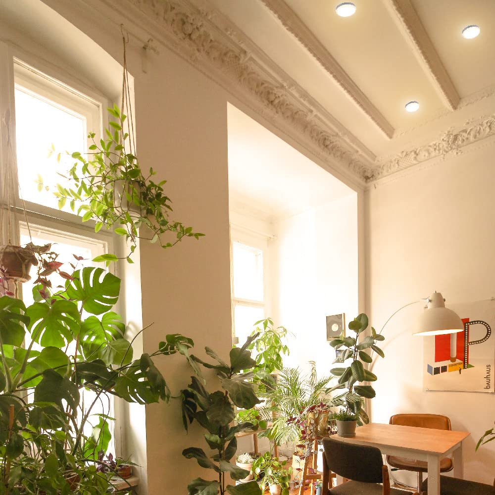 Tecnolite Lámpara LED de Techo para Sobreponer Luz Suave Cálida 3000 k Tecnolite