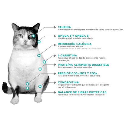 Nupec Comida para Gatos Felino Weight Care 3 kg - Paquete de 1