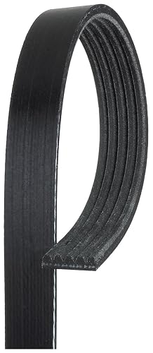 ACDelco Gold Correa Serpentina Acanalada en V Estándar 5K694, Negro