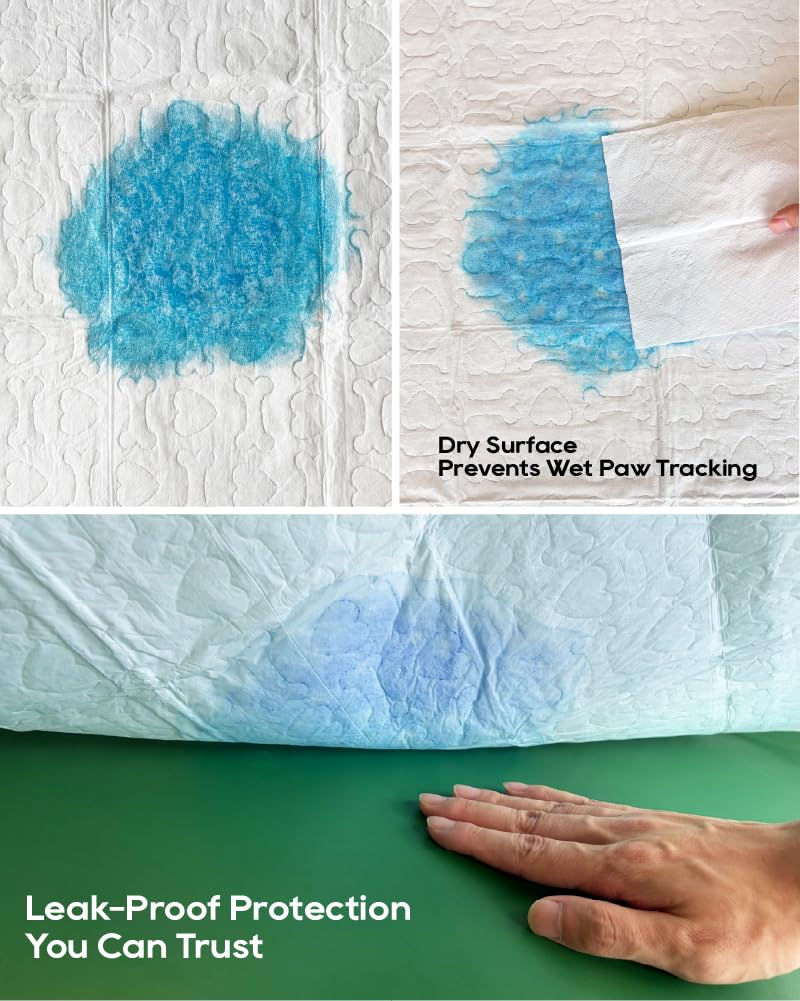 All-Absorb - Esterillas de formación para Perros, 120 Unidades, 45 x 60 cm, Color Blanco y Azul