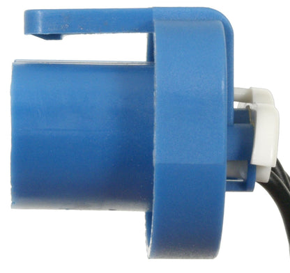 ACDelco Professional LS256 Enchufe para Faros Delanteros, Azul