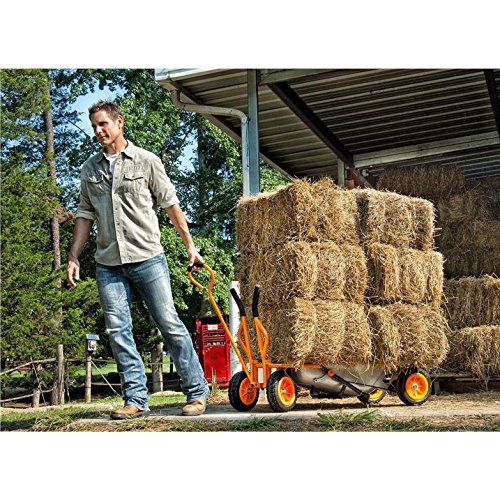 WORX WA0228 Aerocart - Kit de Carretilla