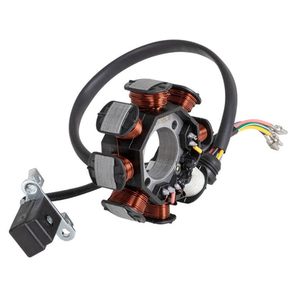 BIKALL Estátor para Moto FT 150/RC 150/150 Z/FT 125/DM 150/DT 150, NRS-5
