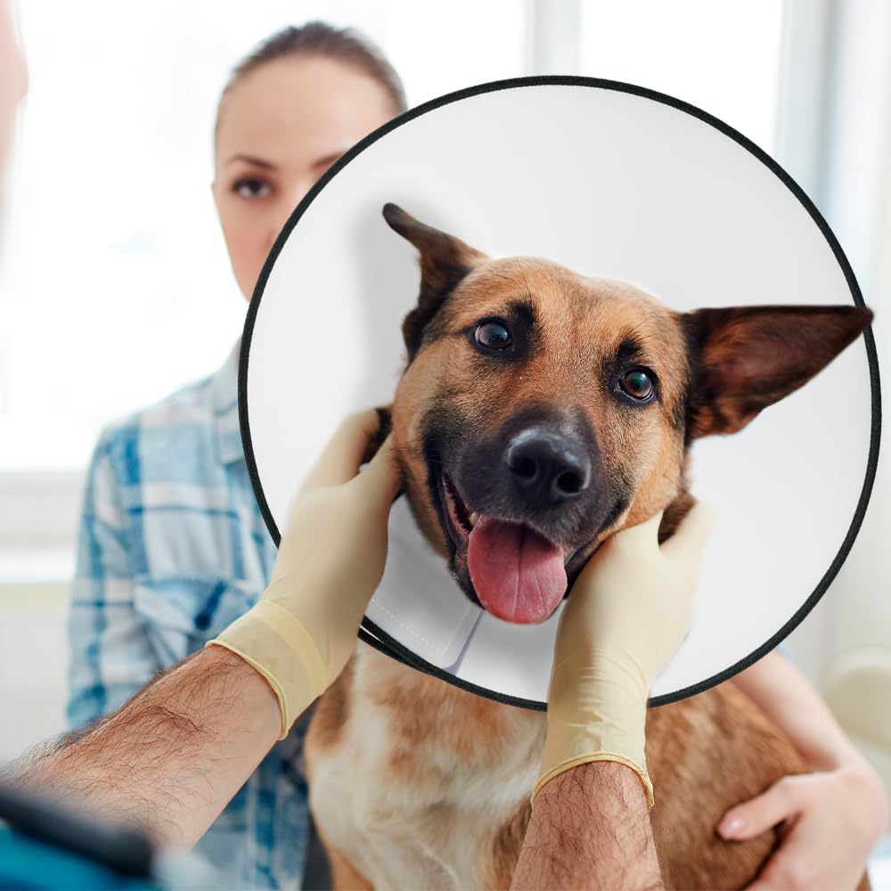 Medical Solutions MS Collar ISABELINO Talla 9 (55 CM)