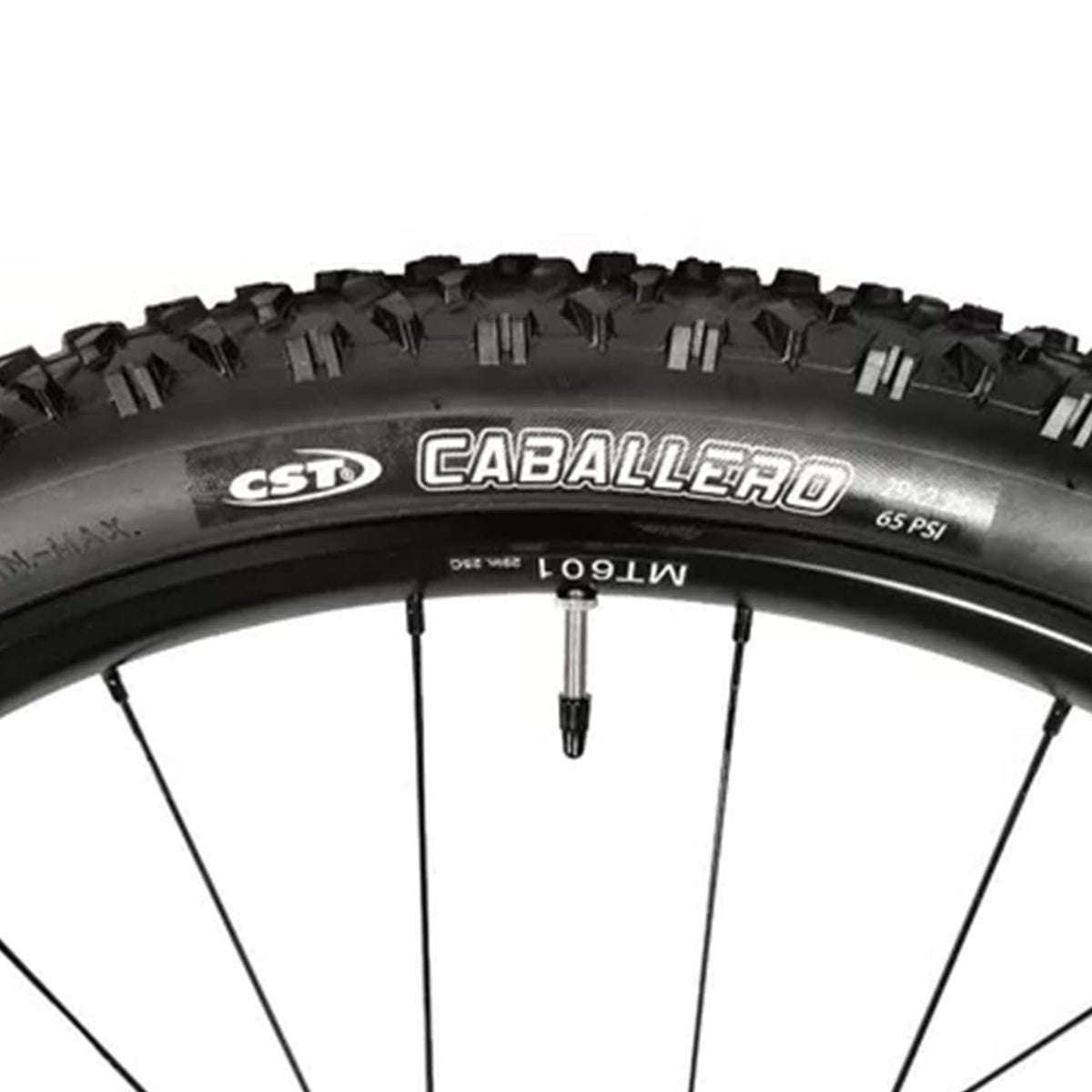 CST Caballero 29x2.25 MTB Llanta Negra