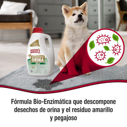 Nature's Miracle - Urine Destroyer Plus for Dogs, Pour, For Severe Dog Urine Stains, Enzymatic Formula, 1 Gal/ 128 fl oz