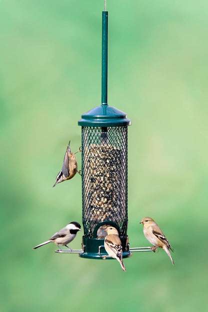 Squirrel Buster Mini 4.4"x4.4"x21" (w/hanger) Wild Bird Feeder with 4 Metal Perches, 1.3lb Seed Capacity