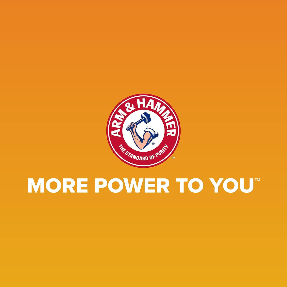 Petmate Arm & Hammer - Recambios Desechables para Bolsas de Basura de fácil rasgón, Varios Colores, Varios Paquetes Disponibles