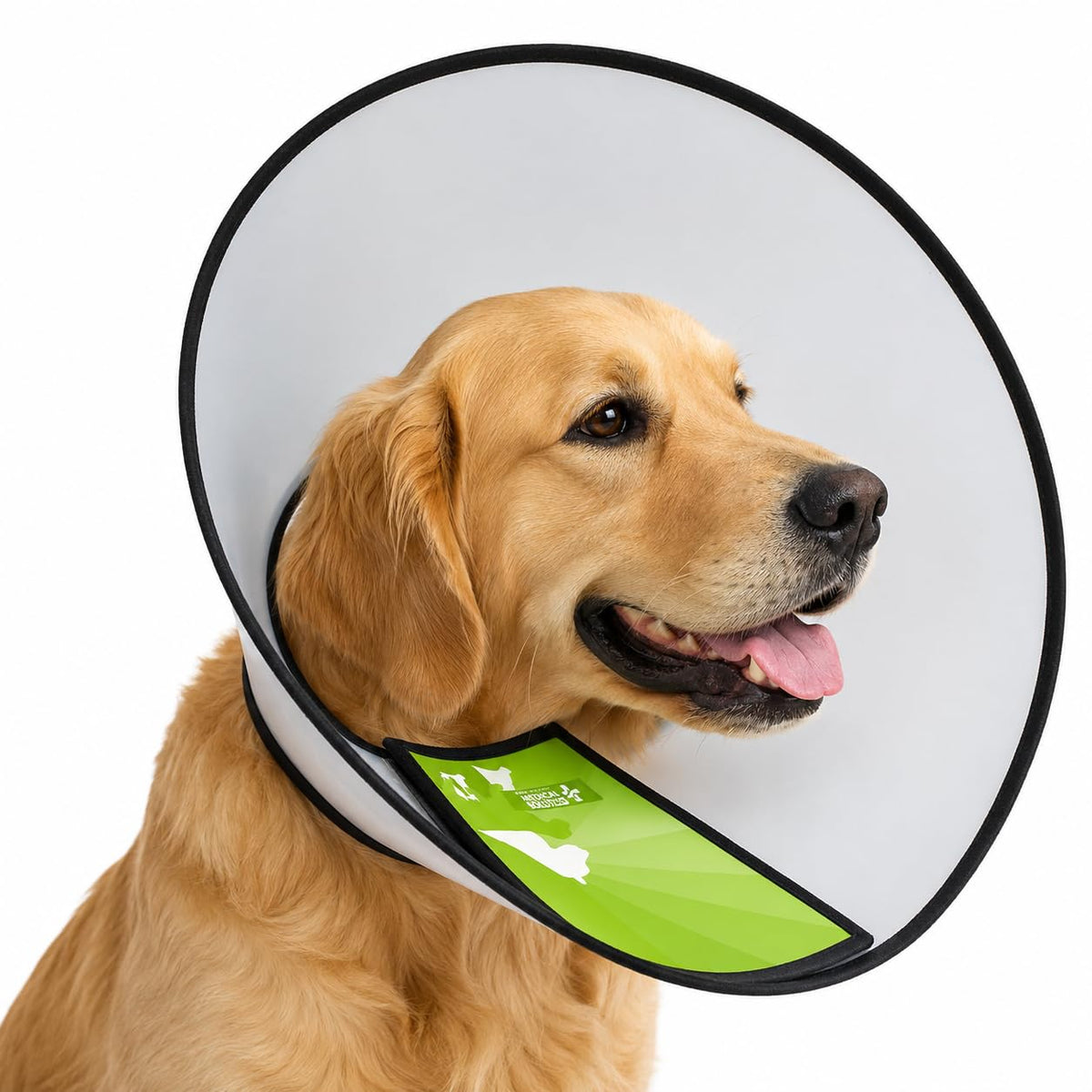 Medical Solutions Collar Isabelino Ajustable para Perro y Gato - TALLA 8