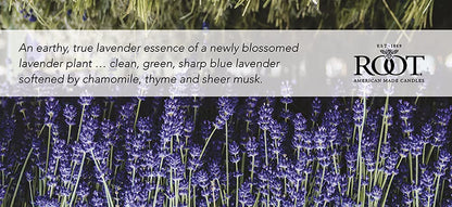 Root Candles Honeycomb Veriglass Scented Beeswax Blend Candle, Small, English Lavender