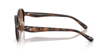 COACH Hc8445d Gafas Mujer