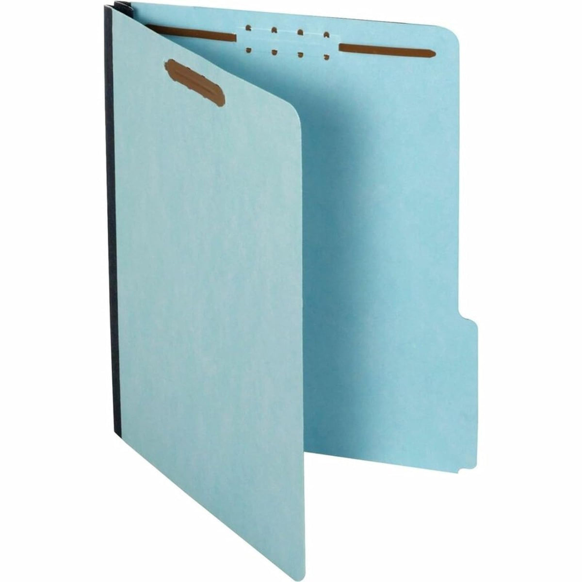 Globe Weis Pendaflex - Carpetas de sujeción de prensado, tamaño carta, azul claro, expansión de 1 pulgada, corte 1/3, 25/BX (615F21-3BLU)