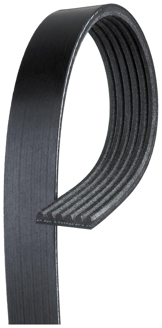 ACDelco Gold Cinturón de Serpentina 6K841, Acanalado en V Estándar