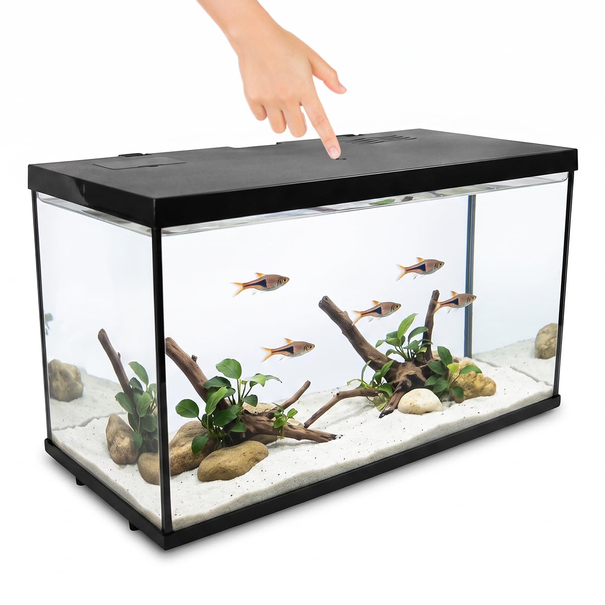 Lomas Kit de Acuario Nano Touch con Filtro, Calentador y Luz LED - 30 l