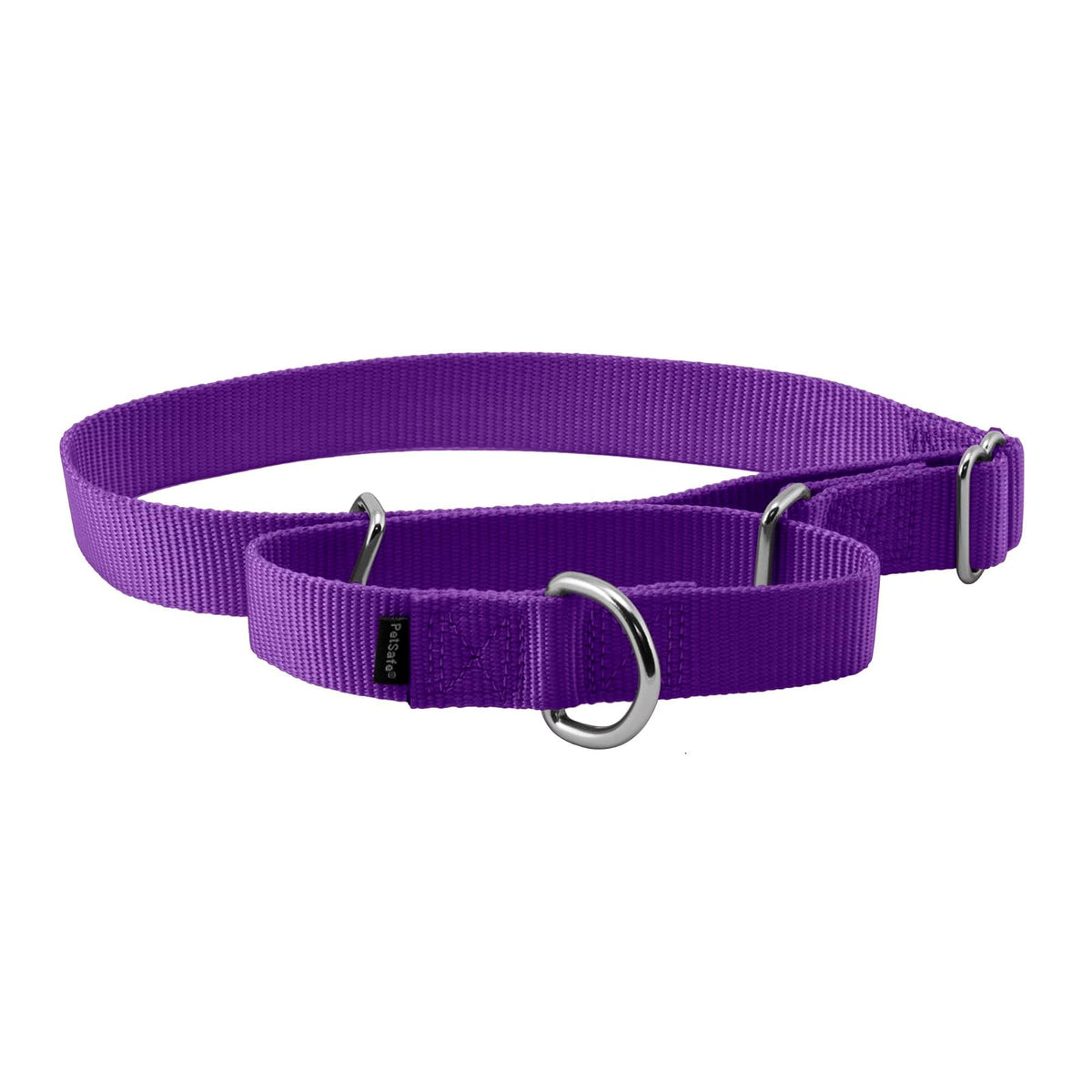 PetSafe Collar Martingale para Perro, Ajuste Antiescape - LARGE (NYLON WIDTH 1") - Morado Oscuro