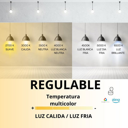 iGoto Foco Inteligente Dimmable GU5.3 Wifi AVIA, RGB 2700 a 6500K Multicolor SmartHome, compatible con IOS, Android, Asistente de Google y Alexa, Multivoltaje 400 lm, 5W Control de voz SH2003