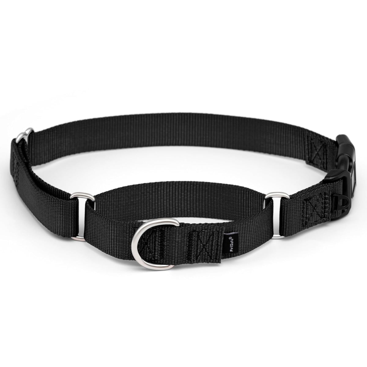 PetSafe Collar Martingale Hebilla de Cierre rpido, Grande, 2.54 cm, | Ajustable, Cómodo, Abertura para la correa