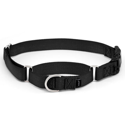 PetSafe Collar Martingale Hebilla de Cierre rpido, Grande, 2.54 cm, | Ajustable, Cómodo, Abertura para la correa
