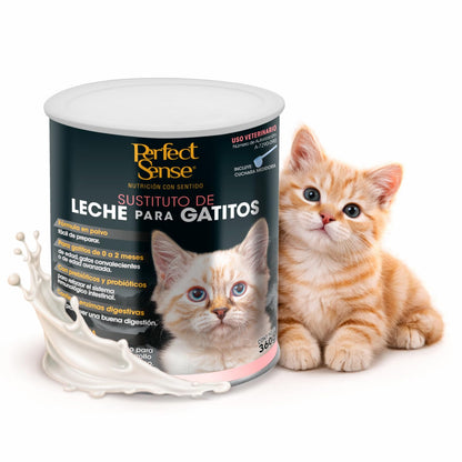 Perfect Sense Sustituto de Leche para Gatitos 360 g con Prebióticos, Probióticos, Enzimas Digestivas y DHA de Origen Marino