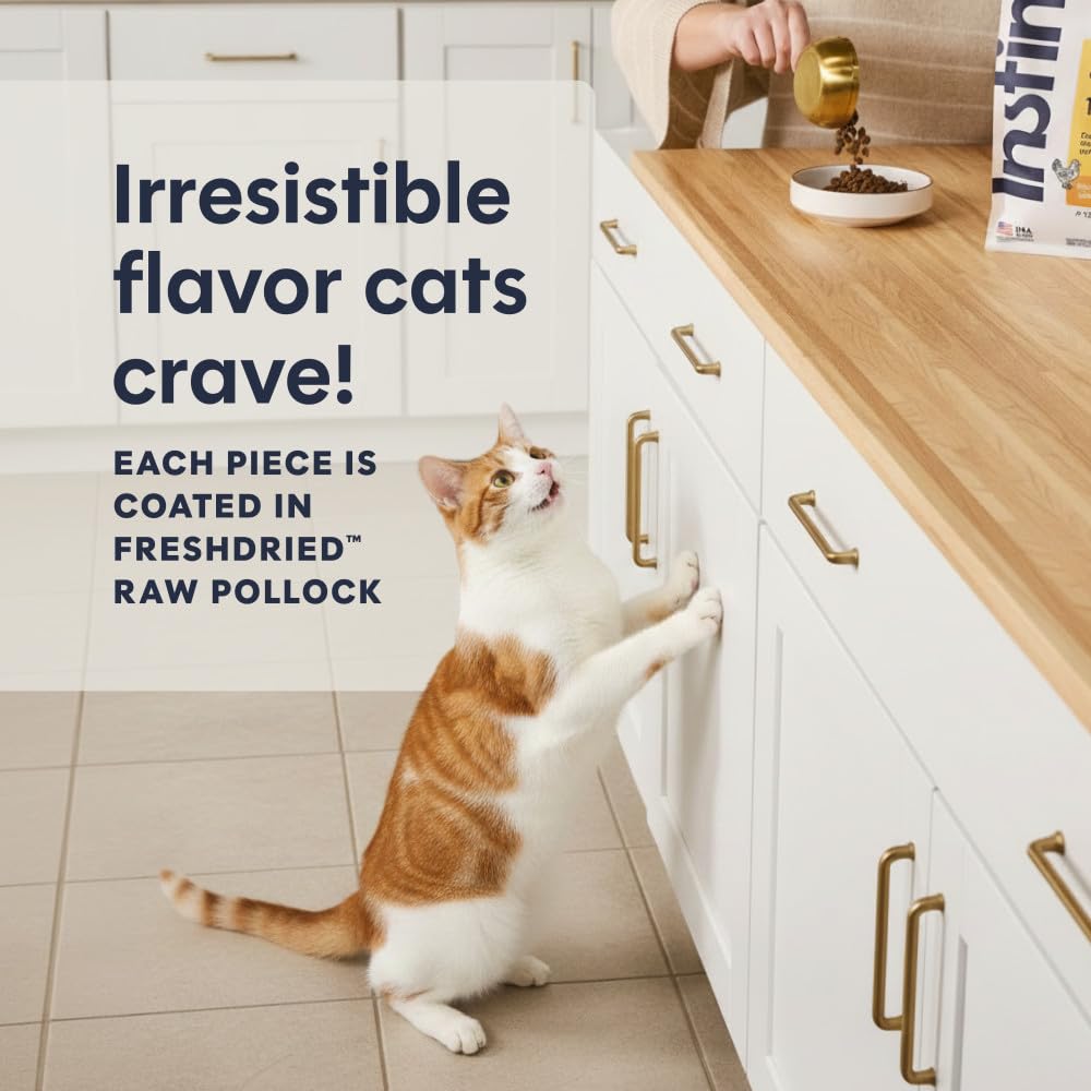 Instinct Original Alimento para Gato, Receta de Salmón 2kg