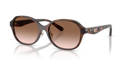 COACH Hc8445d Gafas Mujer