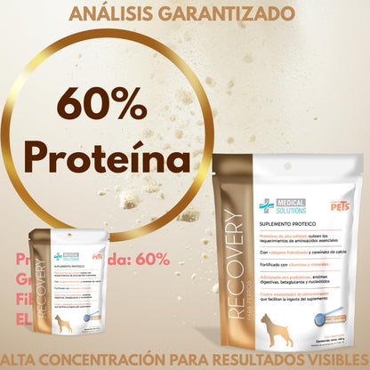 Fancy Pets MS Recovery Suplemento de Proteína para Perros 400 g Suplemento Nutricional con Colágeno y Vitaminas para Apoyo Muscular y Vitalidad
