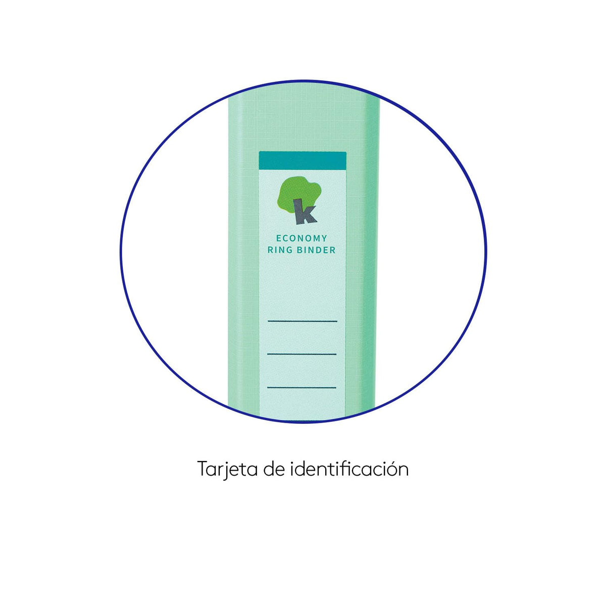 Kit de 4 Carpetas para Archivo plastificada Tamaño Carta 1pg - Verde Menta