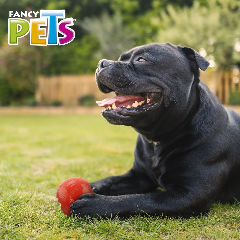 Fancy Pets Juguete Bola Mediana Xtreme para Perros, 8 cm, Goma Resistente Flotante con Orificios para Premios
