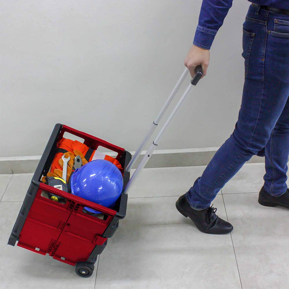 DOGOTULS AP0083 Carrito Plegable Multiusos de Plástico con Ruedas 35kg de Capacidad