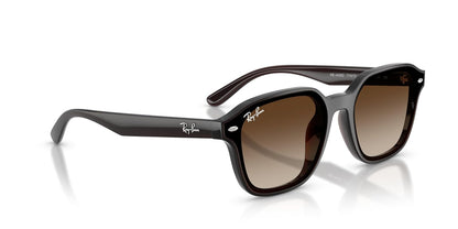 Ray-Ban Rb4458d Sunglasses Unisex