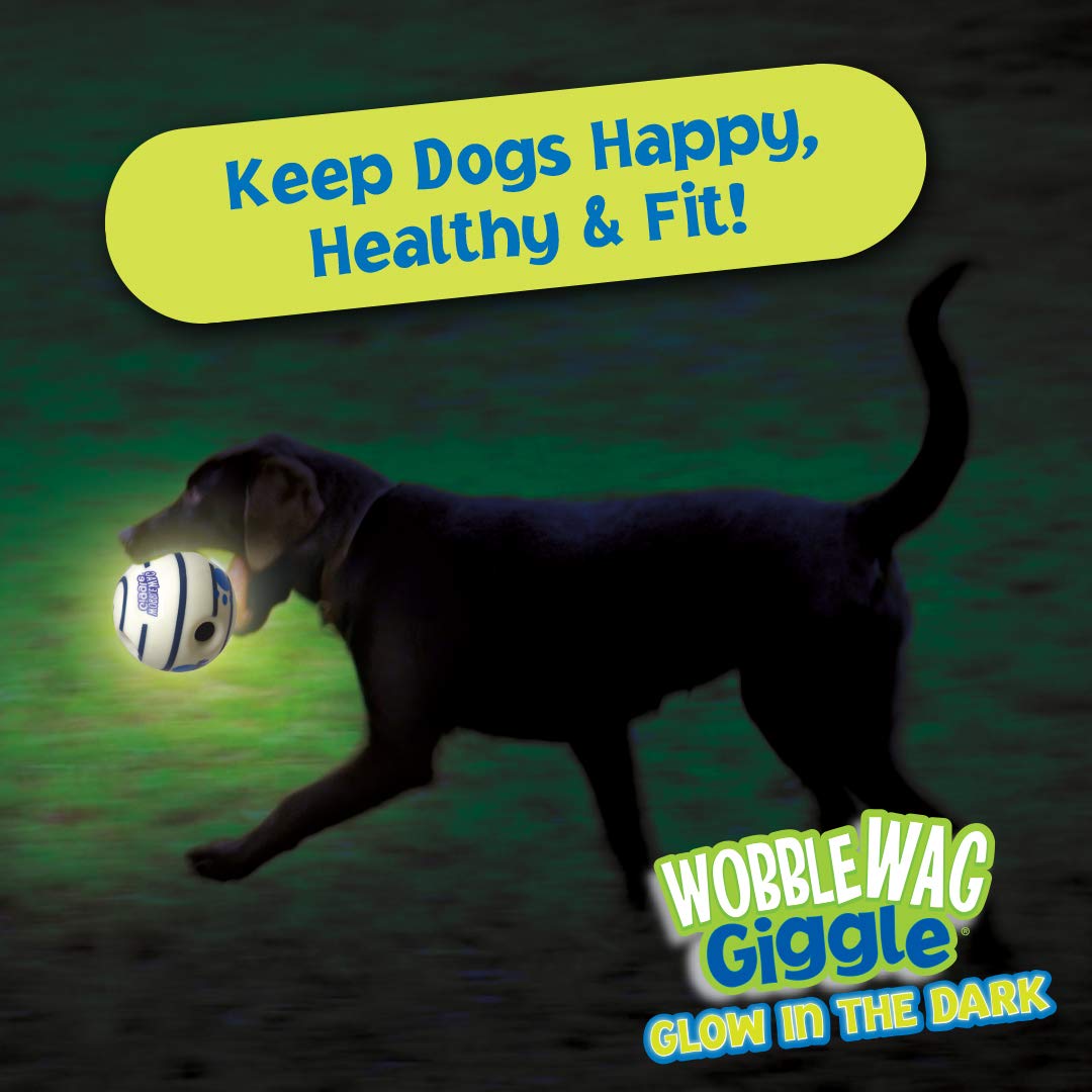 Wobble Wag Giggle Brilla en la Oscuridad, Juguete Interactivo para Perro, Divertidos Sonidos de Risa Cuando se enrollan o se agita, Las Mascotas Saben Mejor, como se ve en la televisión