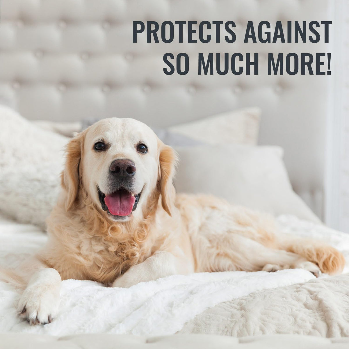 DMI Waterproof Mattress Protector and Cover, Encased Zippered Fit, King