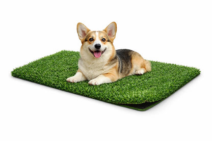 Fancy Pets Repuesto de Pasto Sintético para Tapete Doggie Grass, Antimicrobiano - CH