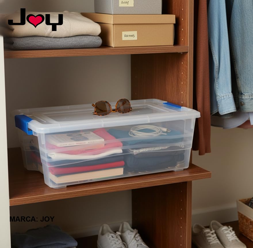 Joy – Caja de Almacenamiento 13 litros, Pack de 2, Perfecto para Organizar Ropa y Juguetes, con Broches de Seguridad, Plástico Libre de BPA, Transparente