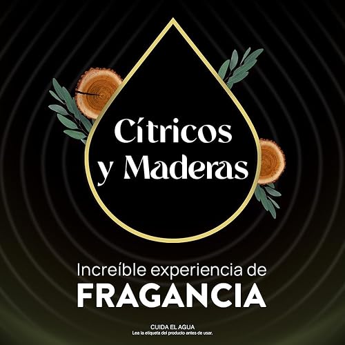 Air Wick Repuestos para Aromatizante de Ambiente Eléctrico, Cítricos y Maderas, 2 repuestos de 23.9 ml c/u