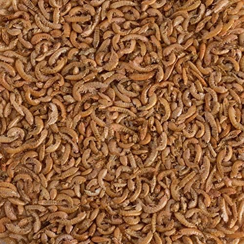 Tetra ReptoMin Alimento Selecto para Tortugas y Anfibios 3 en 1 de Reptomin, Baby Shrimp y Mini Krill Treats Contiene 44 Gramos