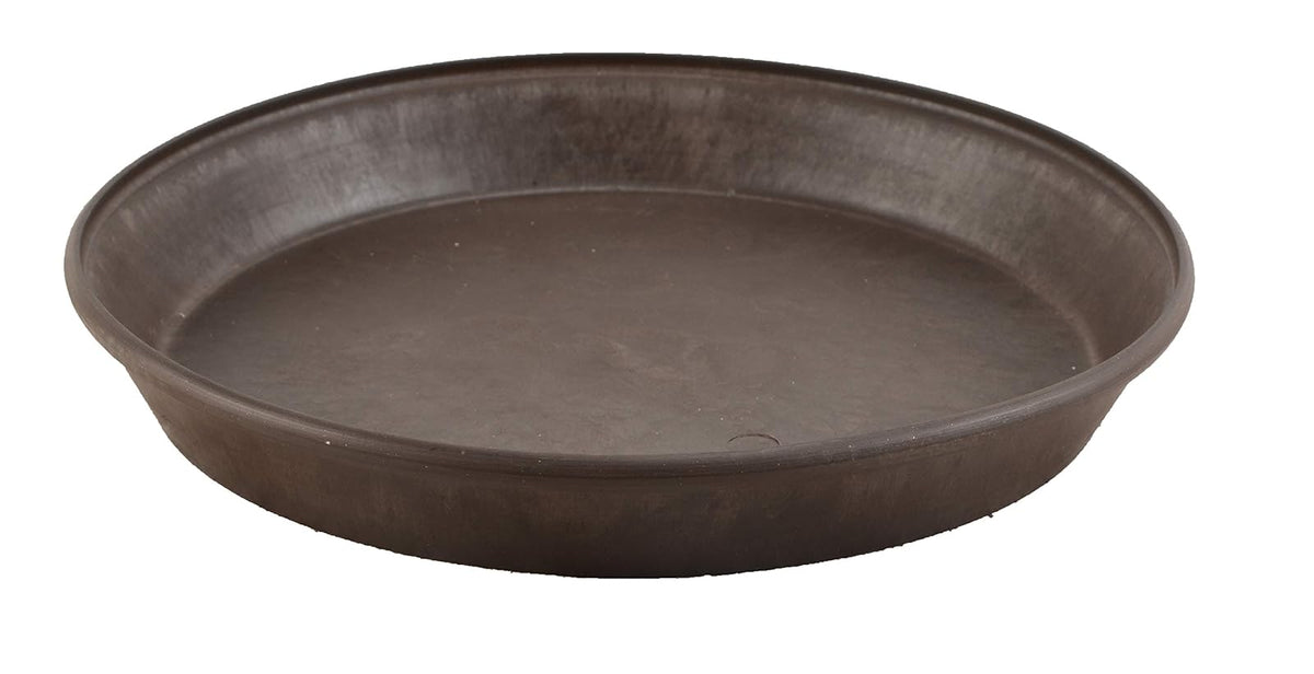 Arcadia PSW AP25C Platillo de un Solo tobogán, 25.4 cm, Color Chocolate, Chocolate, 14 Pulgadas