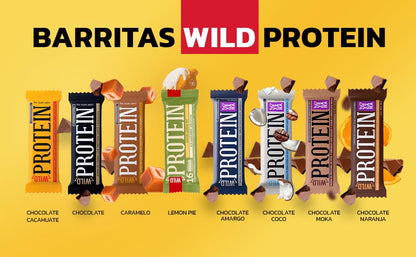 Wild Protein | Barras altas en proteína | Vegana | Sabor chocolate y naranja | Pack de 16 unidades | 14 g de proteína | Sin azúcares ni grasa añadida | 45 g cada barra