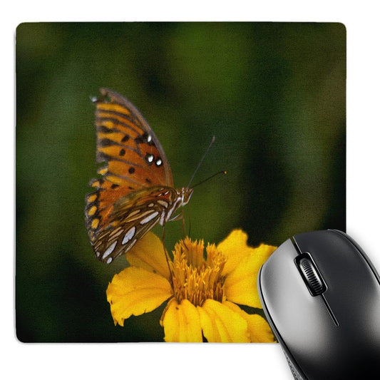 3dRose 8 x 8 x 0.25 Inches Butterfly Kissing the Morning Flowers I Pattern Mouse Pad (mp_49726_1)