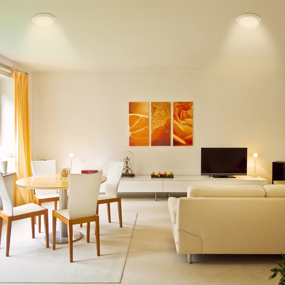 Tecnolite - Lámpara Plafón LED Techo 20 W, Luz Cálida Brillante, Interiores, No atenuable, LED integrado