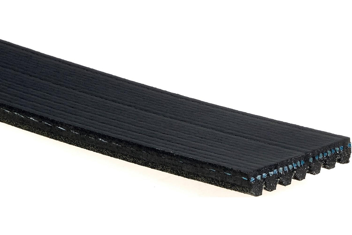 ACDelco Correa Serpentina Acanalada en V 12634319, 46.5 cm, Negro