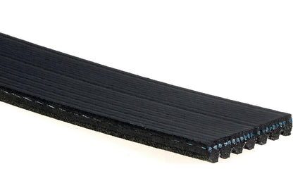 ACDelco Correa Serpentina Acanalada en V 12634319, 46.5 cm, Negro