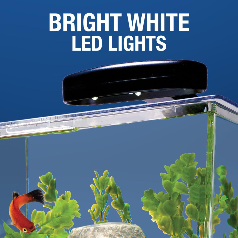 Tetra 29095 Cube Aquarium Kit, 3-Gallon
