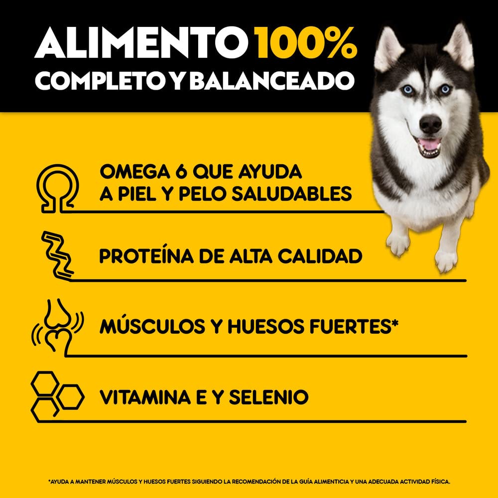 Pedigree - High Protein Alimento para Perro Adulto, 24 Sobres, Sabor Cerdo y Res, 85g c/u, con Proteína, Antioxidantes y Vitamina E
