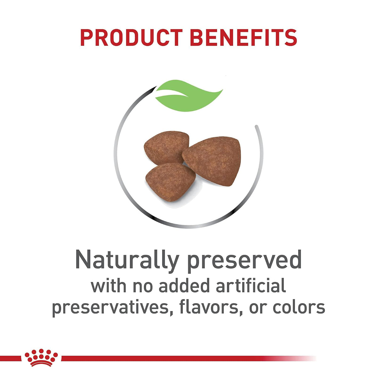 ROYAL CANIN- alimento para Perros Perros Small Puppy de 6.36 kg