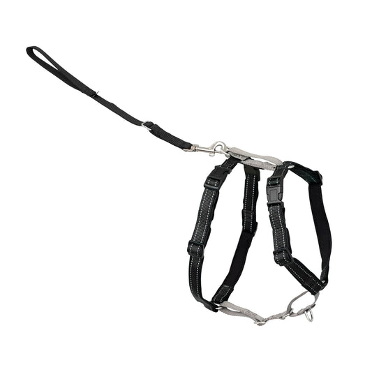 PetSafe Arnés para perro 3 en 1, solución sin tirones, arnés reflectante, clip frontal de anillo en D, correas acolchadas, mango superior, color negro, grande